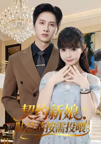 契约新娘:陆总请按需投喂